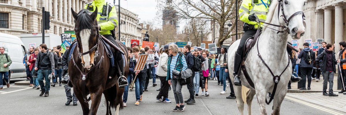 Protest protestors protesting