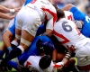 Rugby Union results in a Bundle!