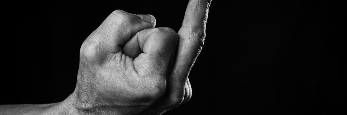 Sign Language Expert at work