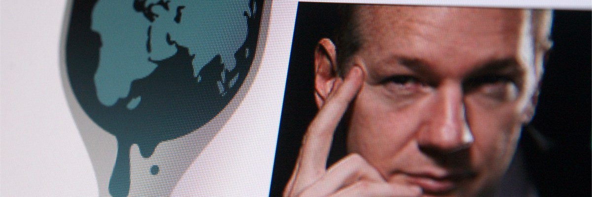 Hide and Seek Champion