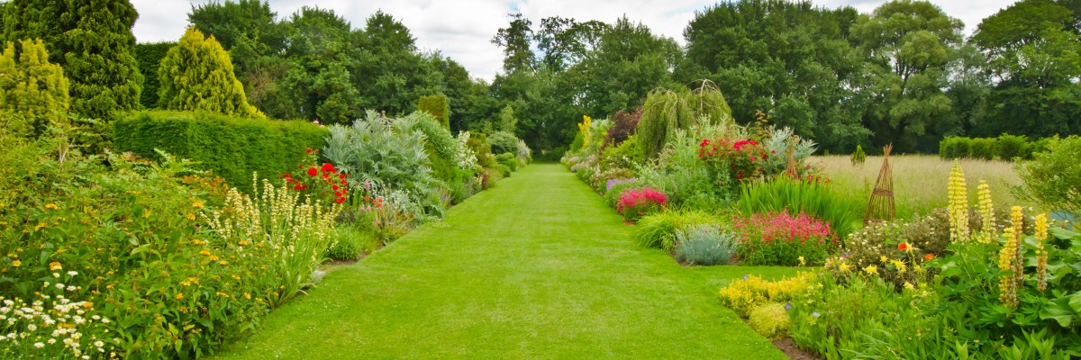An English Cuntyry Garden