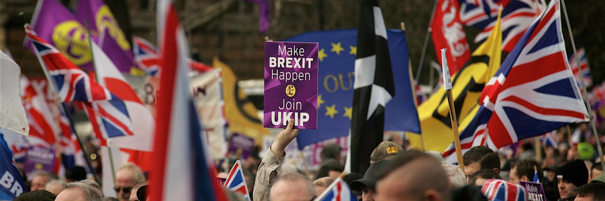 UKIP and Pro Brexit protest